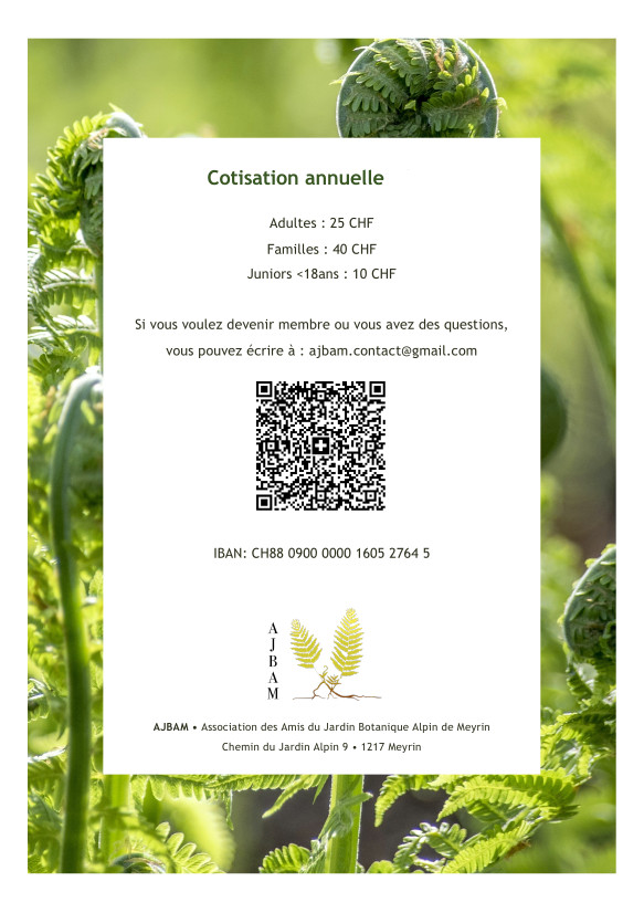 cotisations et contact : ajbam.contact@gmail.com